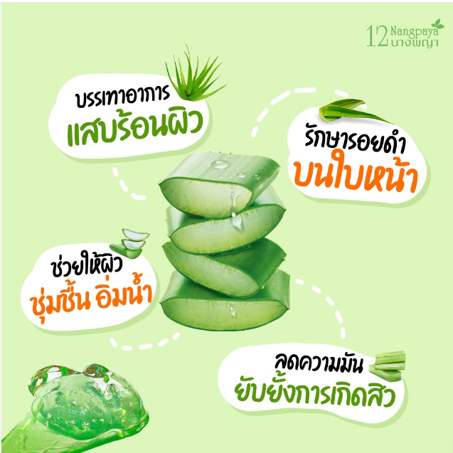 (4ซอง/กล่อง) 12 Nangpaya Aloe 12นางพญา อโลเวร่า ซูทติ้ง มอยซ์เจอไรเซอร์ เจล ฟื้นฟูผิวใส [1616] ราคา ถูกที่สุด ดีลบีเคเค แกลเลอรีภาพที่ 3