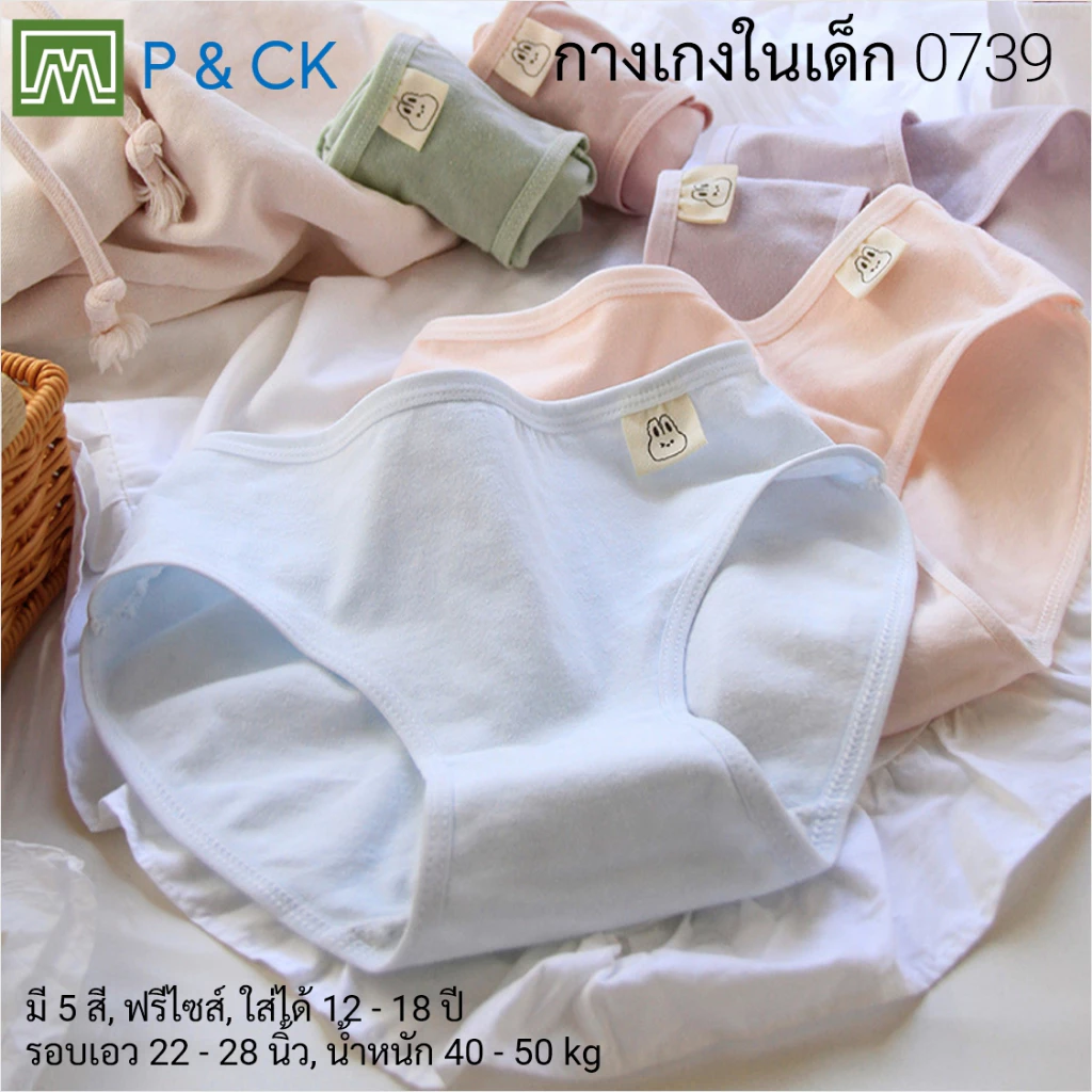 #0739 กางเกงในเด็ก นักเรียน: (ฟรีไซส์, ใส่ได้ 12 - 18 ปีขึ้นไป) คุณภาพดี, ผ้าคอตตอน 100% (เลือกได้ 5 สี)