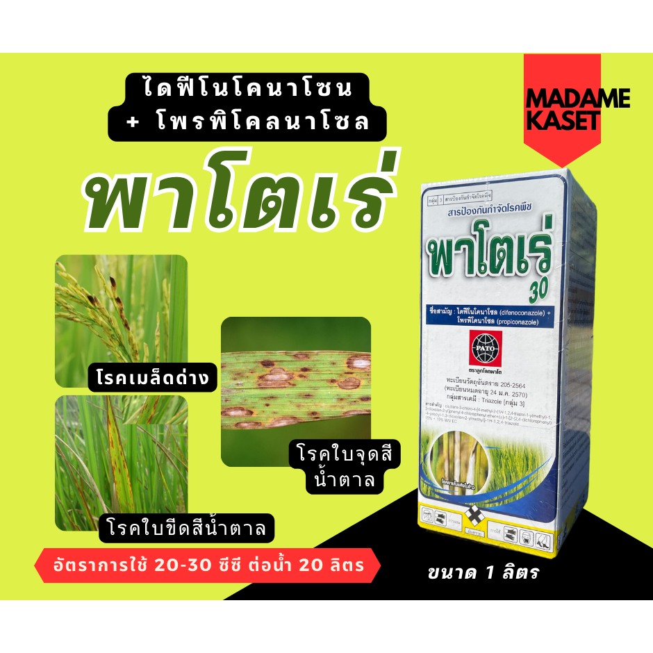 พาโตเร่ (ไดฟีโนโคนาโซล + โพรพิโคนาโซล) ขนาด 1 ลิตร สารป้องกันและกำจัดเชื้อรา กาบใบแห้ง เมล็ดด่าง ราสนิม ใบจุดสีน้ำตาล