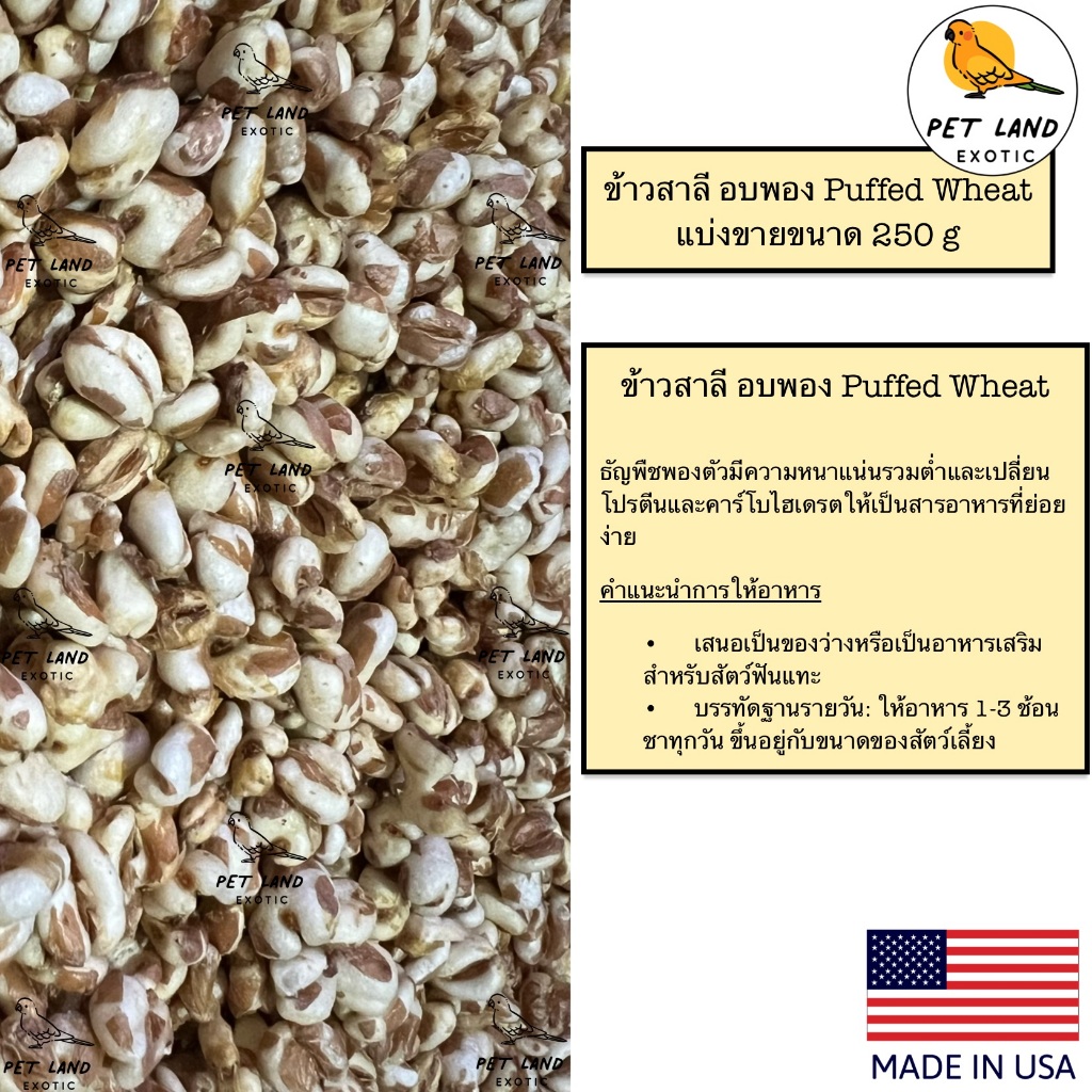 ข้าวสาลีอบพอง Puffed Wheat แบ่งขาย 250g ขนมสำหรับนกแก้ว และสัตว์ฟันแทะ