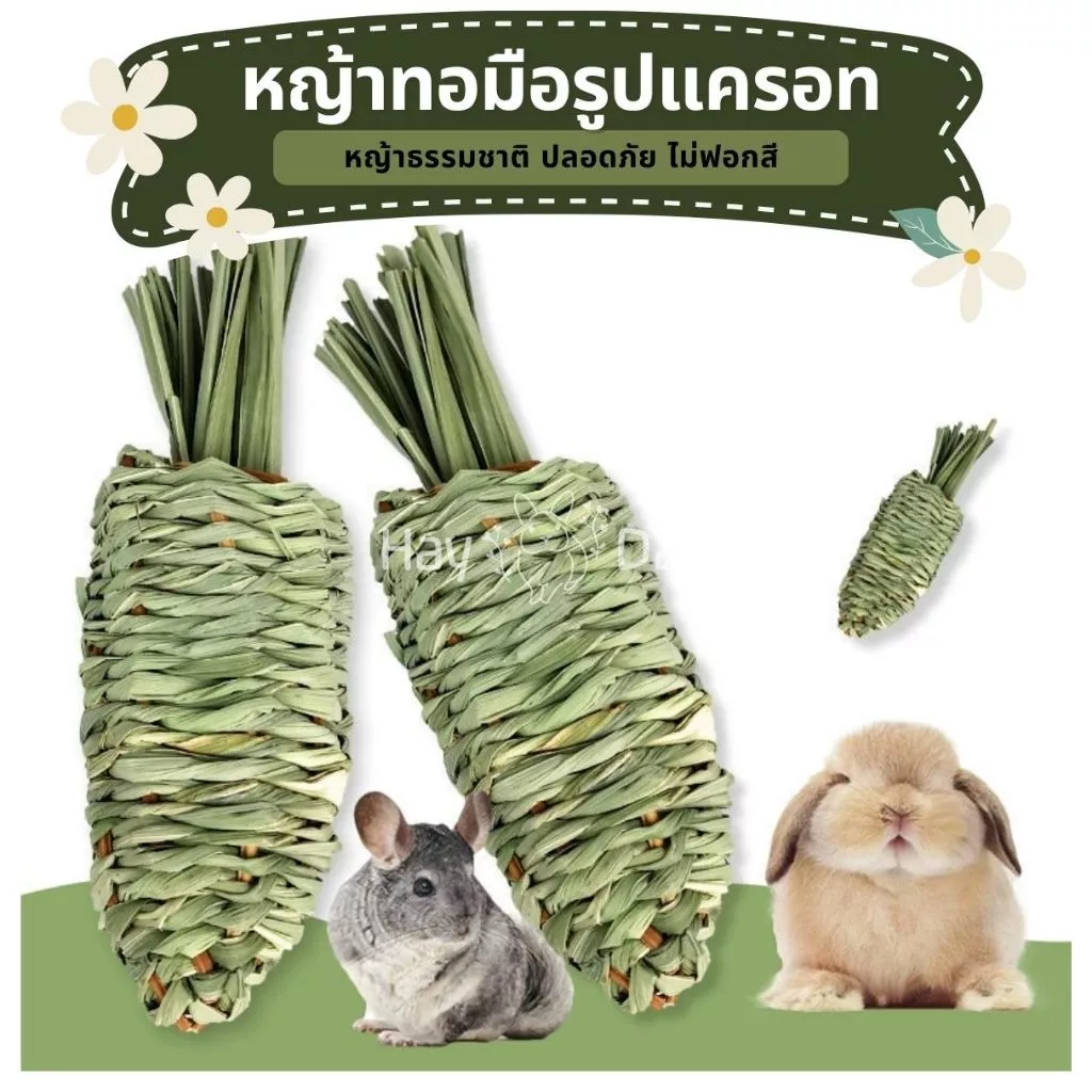 หญ้าลับฟันรูปแครอท ของเล่นกระต่าย แทะลับฟัน ลดการกัดแทะกรง ปลอดภัย ธรรมชาติ ไม่ฟอกสี