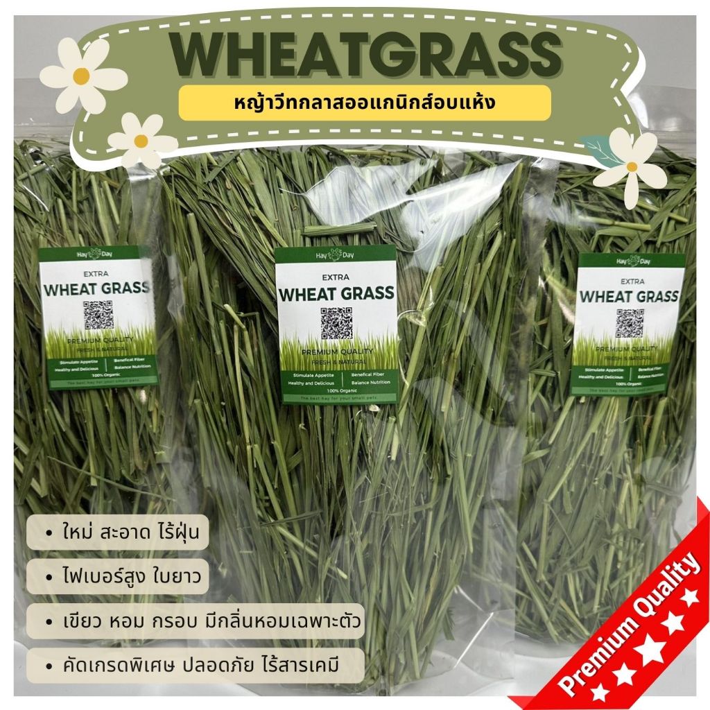 ซื้อ หญ้ากระต่าย || วีทกลาส || Wheatgrass อบลมร้อน คัดเกรดพรีเมี่ยม สำหรับกระต่ายและสัตว์ฟันแทะทุกชนิด