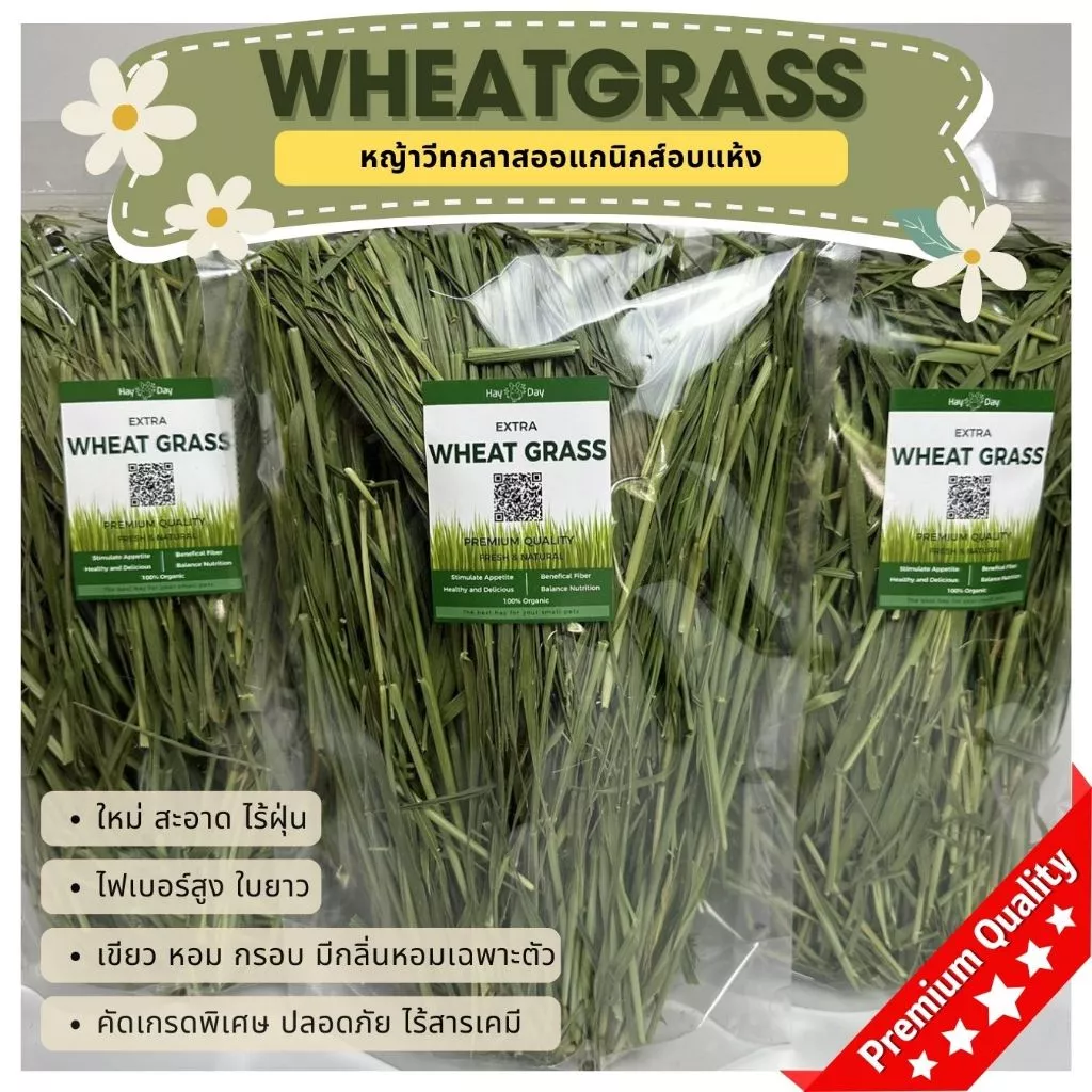 ✨ใหม่ 2026✨ หญ้ากระต่าย || วีทกลาส || Wheatgrass อบลมร้อน คัดพรีเมี่ยม สำหรับสัตว์ฟันแทะทุกชนิด