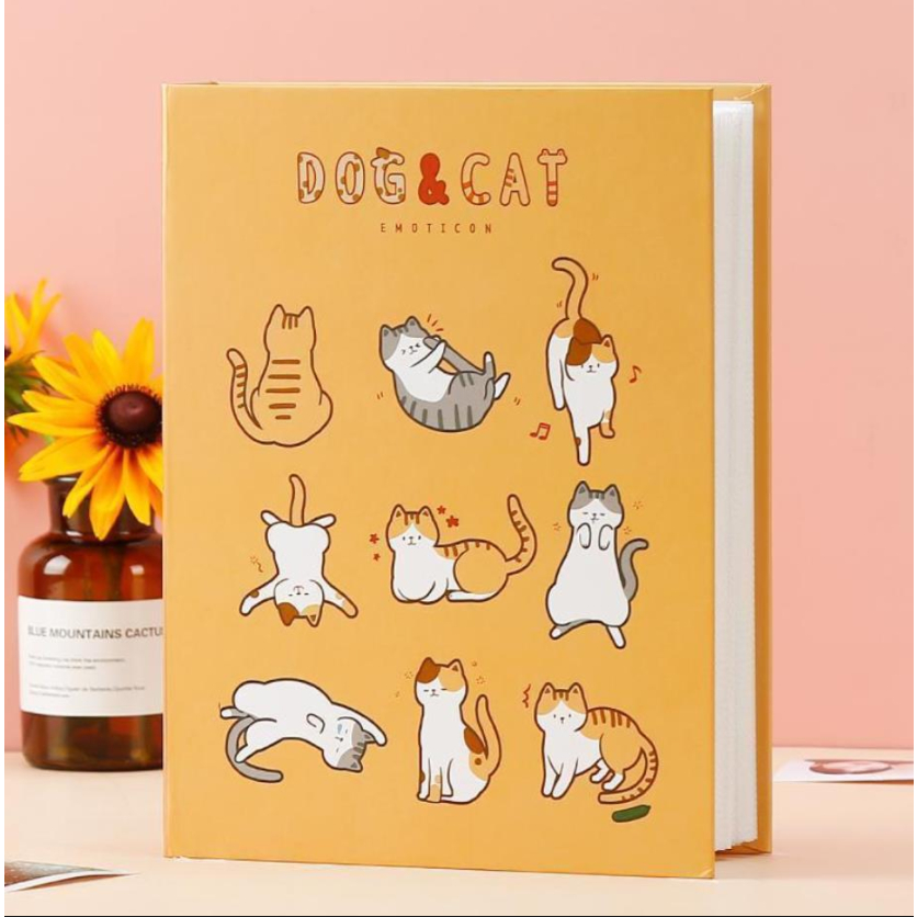 รูปภาพ 5