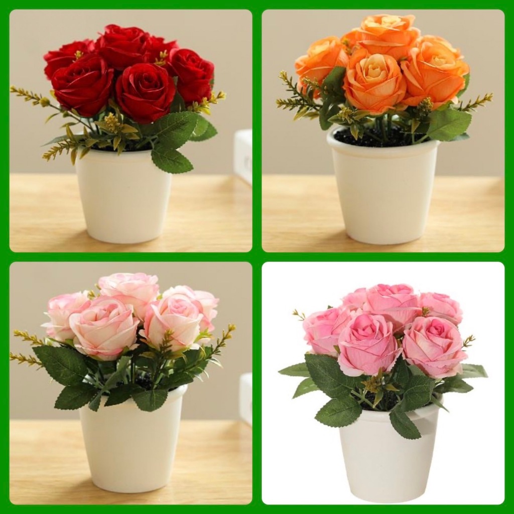 (4สี)กุหลาบ6ดอก พร้อมกระถางหนา สูง18cm