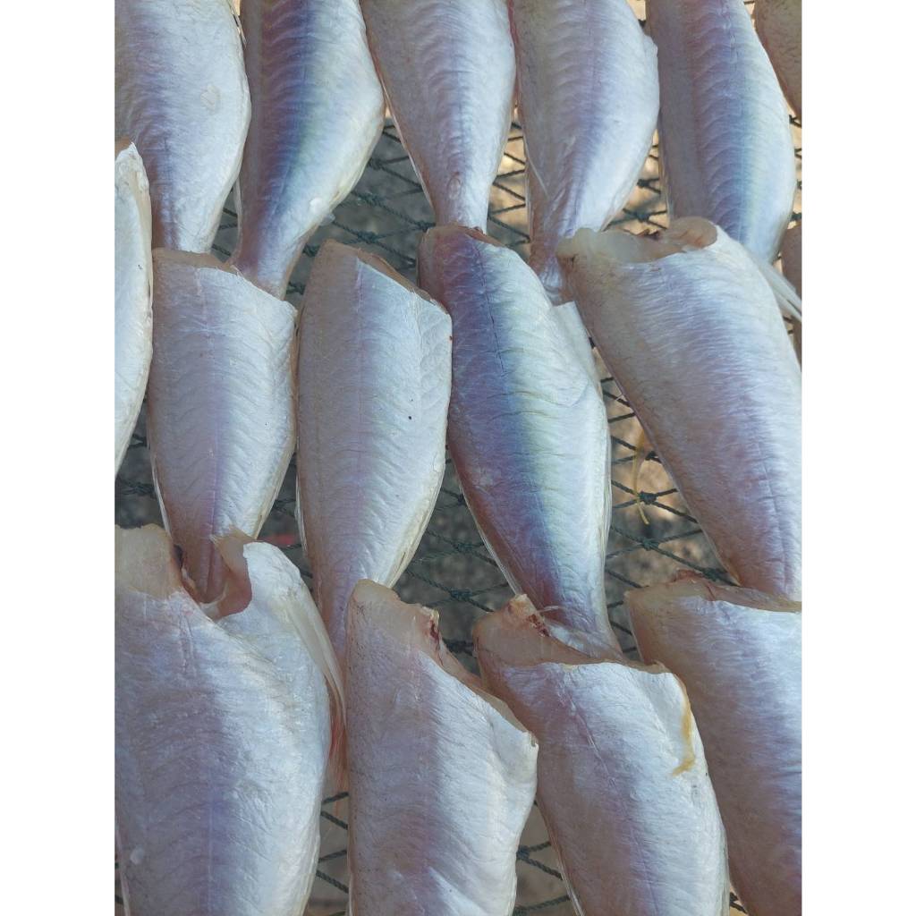 ปลาทรายแดง ปลาแดงแดดเดียว500กรัม (สูตรเค็มน้อย อร่อยกำลังทาน)สะอาด อร่อย เค็มกำลังทาน - รูปที่ 3