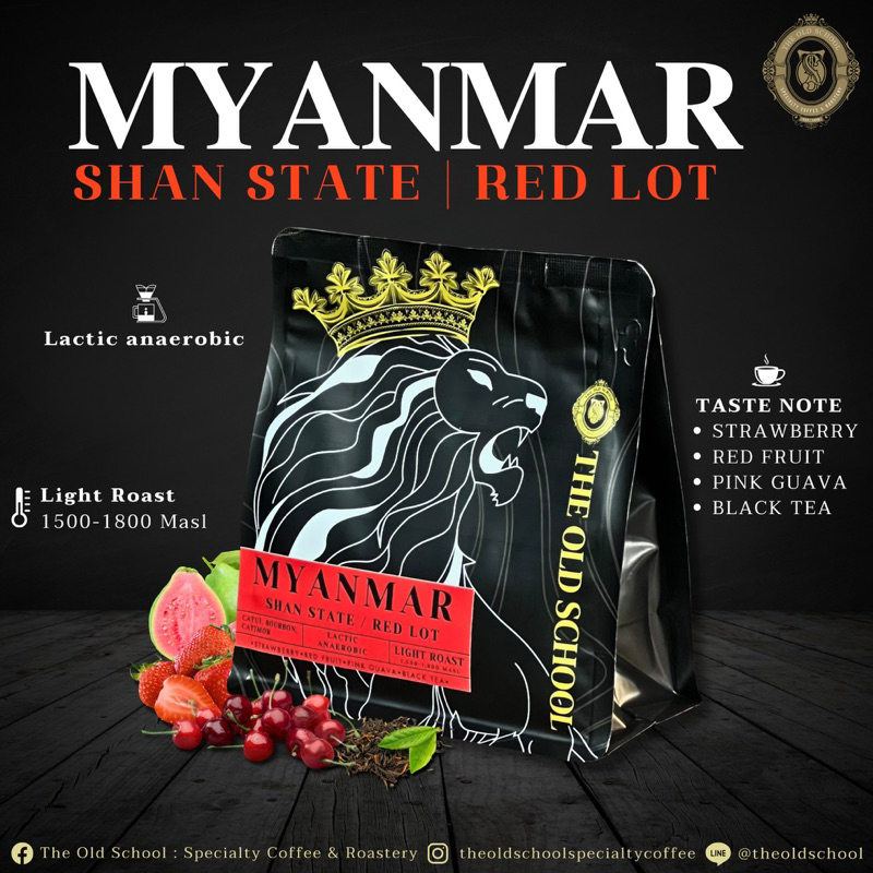 เมล็ดกาแฟคั่วอ่อน Myanmar Shan State Red lot