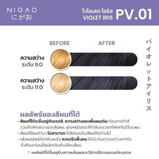 [ฟรี Developer] NIGAO Hair Color PV.01 Violet Iris | นิกาโอะ ครีมเปลี่ยนสีผม สีพาสเทล สีย้อมผม ม่วง หม่น 100 mL