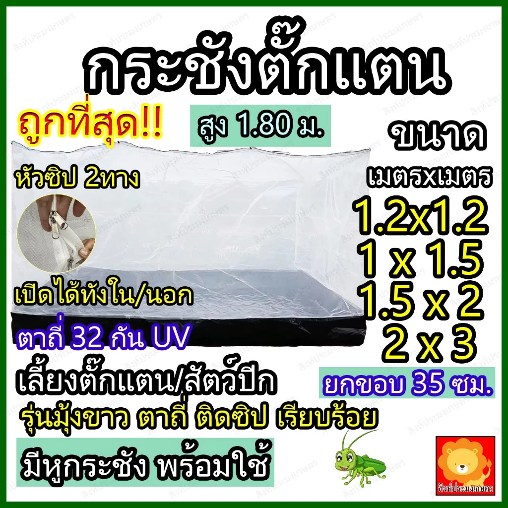 กระชังเลี้ยงตั๊กแตน มุ้งตั๊กแตน กระชังตั๊กแตน มุ้งขาว หนา คอก ตาข่าย กรง เลี้ยง ตั๊กแตน ตั้กแตน แมลง