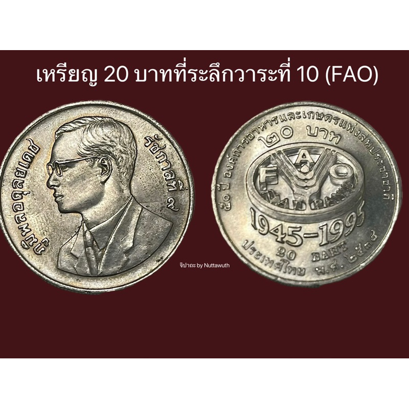 เหรียญ 20 บาท 50 ปี องค์การอาหารและเกษตรแห่งสหประชาชาติ FAO 1945-1995 ปี 2538