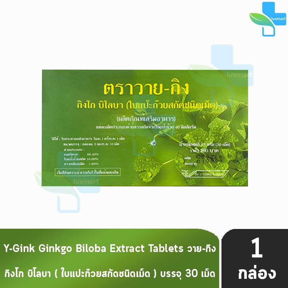 Y-Gink Ginkgo Biloba วาย กิง ใบแป๊ะก๊วยสกัด 30 เม็ด [1 กล่อง] HH 7201 ตัวช่วยคนทำงานและวัยเรียน