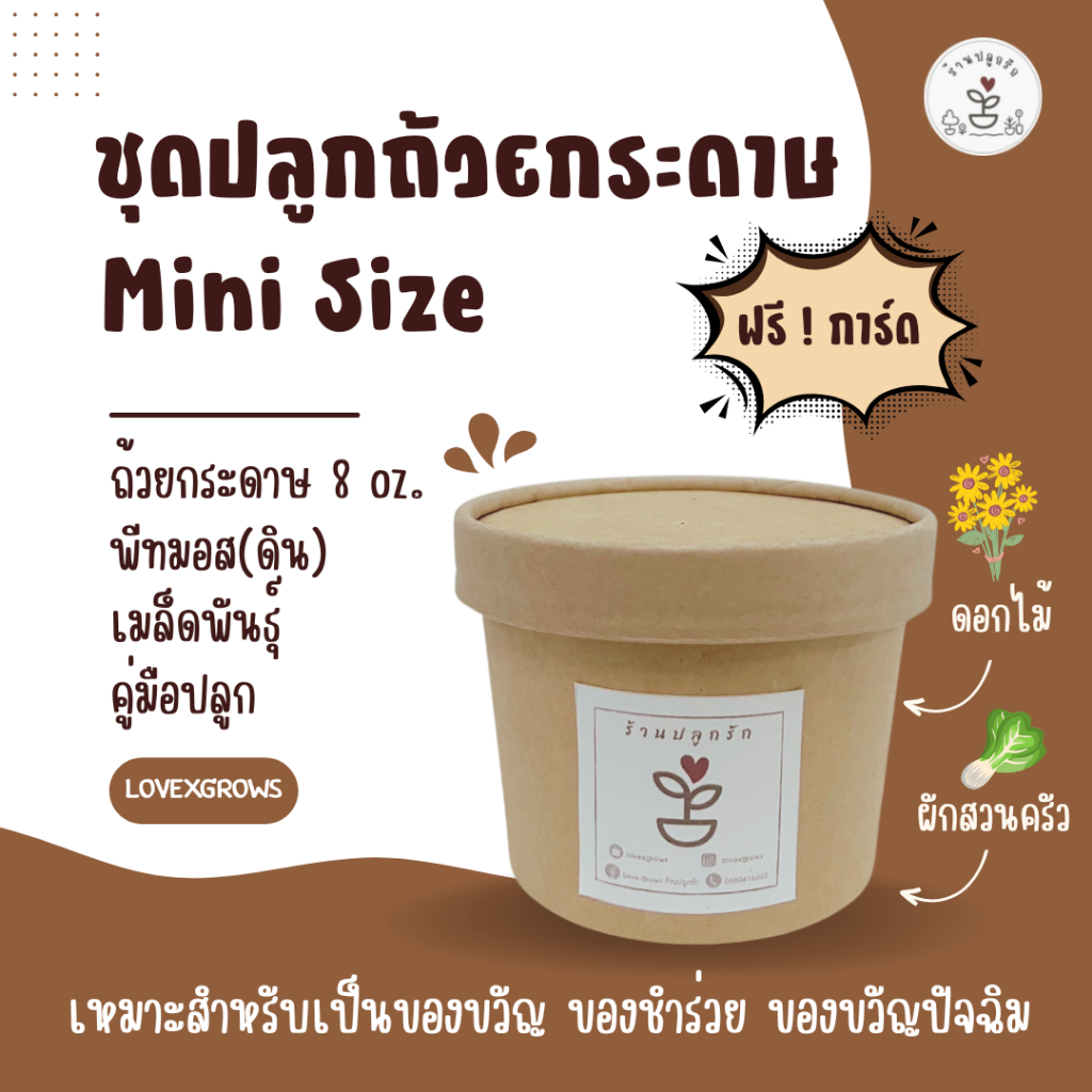 LXG : ชุดปลูกดอกไม้ ชุดปลูกผัก ถ้วยกระดาษไซส์มินิ (Mini Size) ปลูกง่าย ของขวัญวันเกิด ของชำร่วย ของขวัญปัจฉิม ปีใหม่