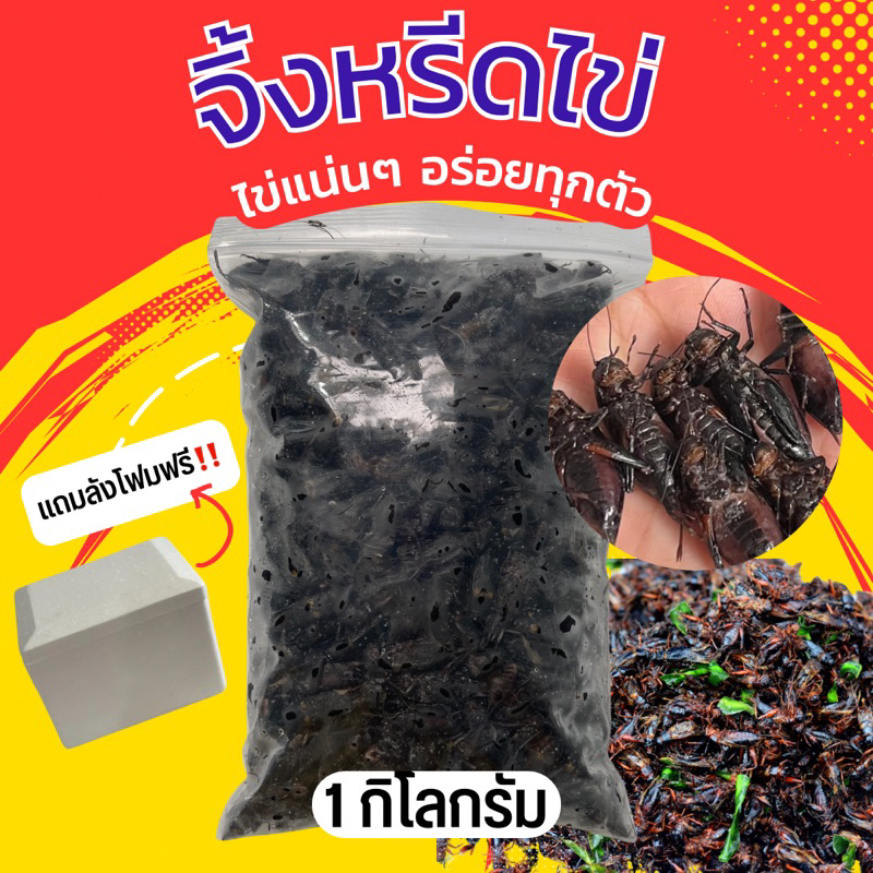 จิ้งหรีด​ไข่​แช่แข็ง  1 kg ‼️ฟรีบบรรจุลังโฟมส่ง