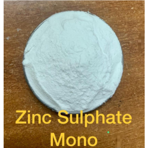 ZnSO4.H2O Zinc Sulphate monohydrate ซิงค์ซัลเฟต เกรดอุตสาหกรรม (ประกอบด้วยธาตุ Zn 35%) บรรจุ 1,2,5 ก