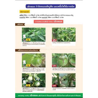 เอ็กซอล (Exalt) ขนาด 15cc "เอ็กซอล" จุดจบของหนอนร้าย และเพลี้ยไฟดื้อยา