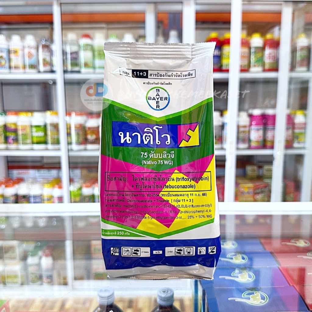 นาติโว ® 75 ดับบลิวจี® (Nativo® 75 WG)ชื่อสามัญ: ทีบูโคนาโซล (tebuconazole ) + ไตรฟลอกซีสโตรบิน (tri