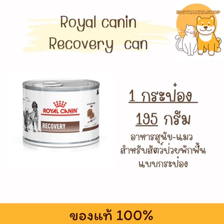 (( 1 กป.)) Royal canin Recovery 195 g. สำหรับ สุนัขแมว สัตว์ป่วยพักฟื้น exp 04/27