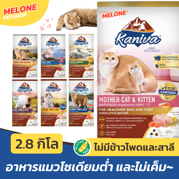 Kaniva คานิว่า อาหารแมว ไก่ 3.2 kg / แซลมอน แกะ 3 kg / เลี้ยงในบ้าน ตัวแน่น ขนสวย ลูกแมว ระบบปัสสาวะ เกรนฟรี 2.8 kg