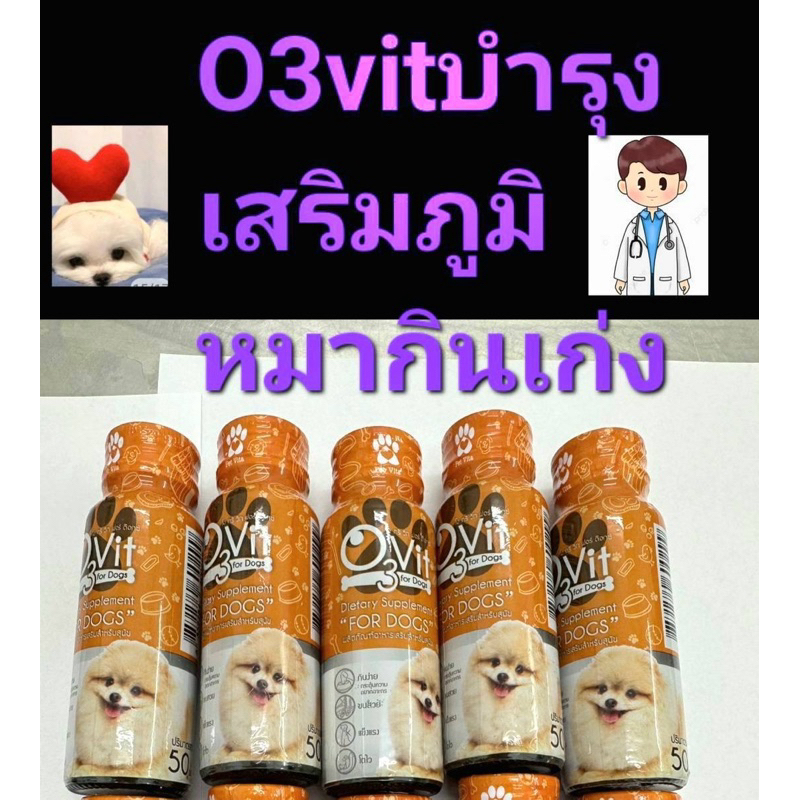 O3vit 50ml วิตามินบำรุงหมา ให้อ้วน ขนสวย แข็งแรง มีไลซีน เสริมภูมิ