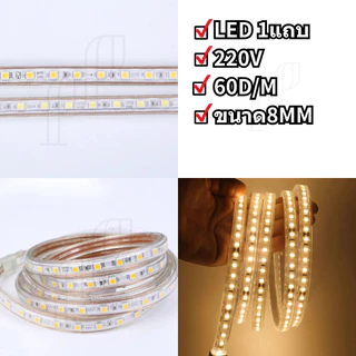 ไฟสายยาง 5050 LED Strip 5M 10M 15M 20M 25M 30M 220V 8mm ไว้ภายนอกได้ พร้อมใช้งาน