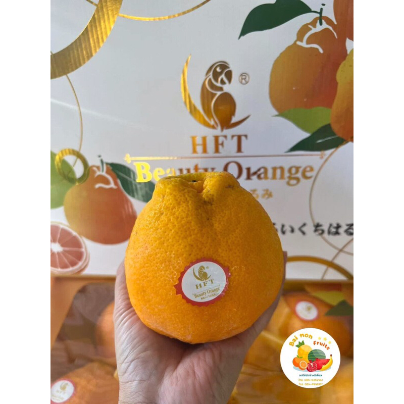 🍊ส้มจุกเดโกปอง ตรานกแก้ว🍊🦜 ส้มจุกรุ่นกล่องพรีเมียม