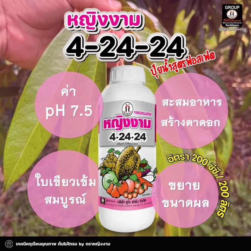 ปุ๋ยน้ำ 4-24-24 1 ลิตร ตราหญิงงาม ปุ๋ยน้ำฟอสเฟต pH7.5 สะสมอาหาร สร้างตาดอก ใบเขียวเข้มสมบูรณ์ ขยายขนาดผล รูปที่ 2