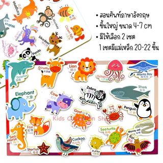 แม่เหล็กติดตู้เย็นรูปสัตว์ สอนศัพท์ภาษาอังกฤษ เซต 25-26 ชิ้น ชิ้นใหญ่จับถนัดมือ ทนทานไม่พังง่าย สีสันสดใสช่วยในการจดจำ