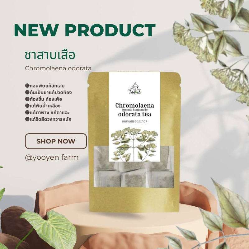 ชาสาบเสือรวมก้านใบบรรจุในซองชา(25ซอง)