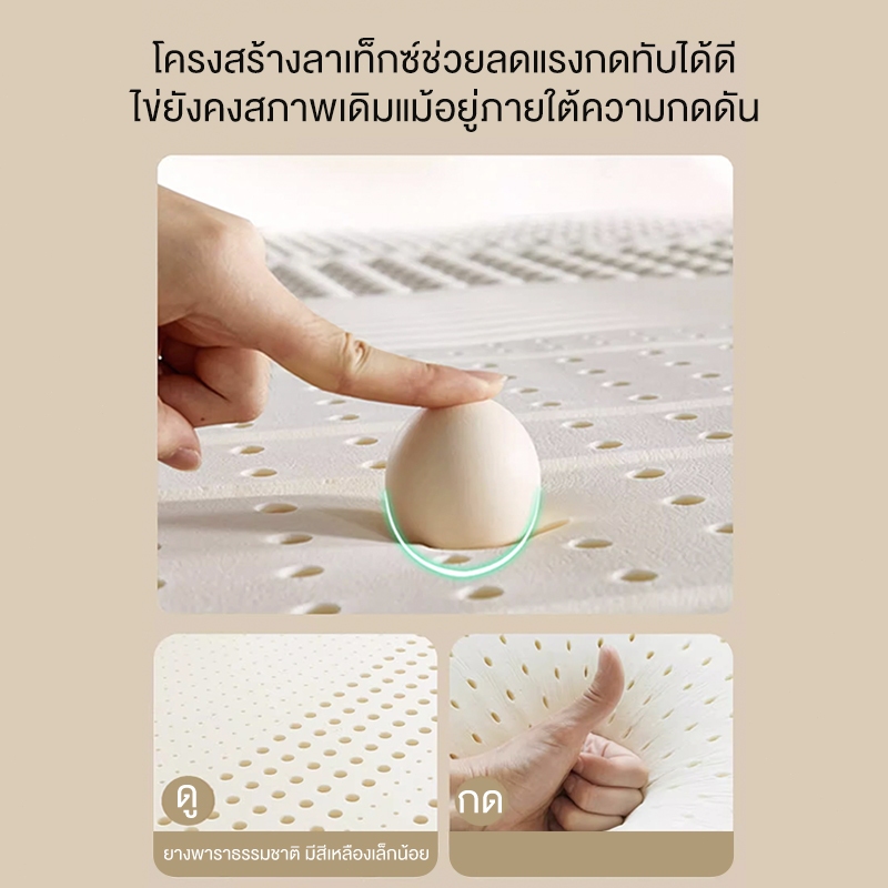 Sunfay ที่นอนยางพารา