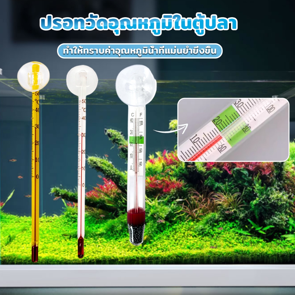 เทอร์โมมิเตอร์ตู้ปลา ปรอทวัดอุณหภูมิน้ำในตู้ปลา แบบติดกระจก Aquarium Thermometer