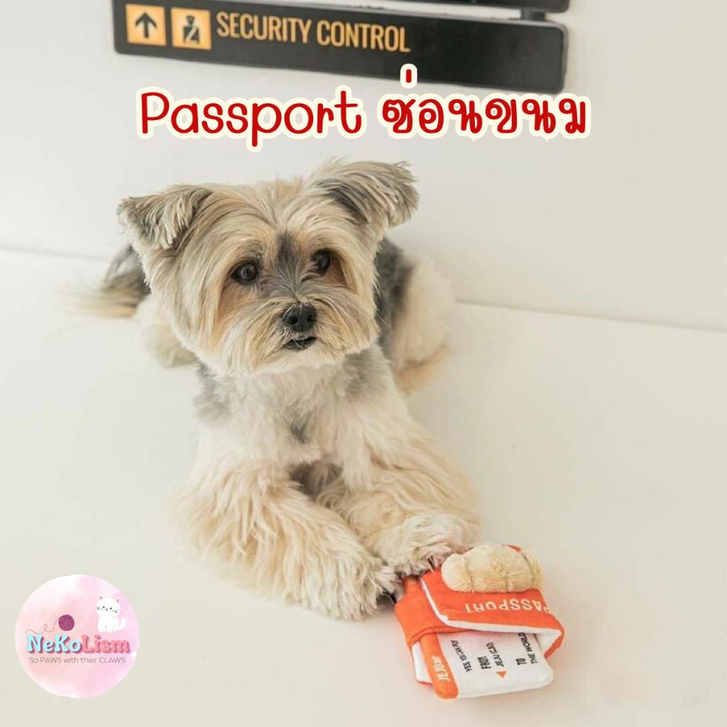 Passport ซ่อนขนม ของเล่นหมา ของเล่นแมว สุนัข เสริมทักษะ ฝึกการดมกลิ่น Dog Toy