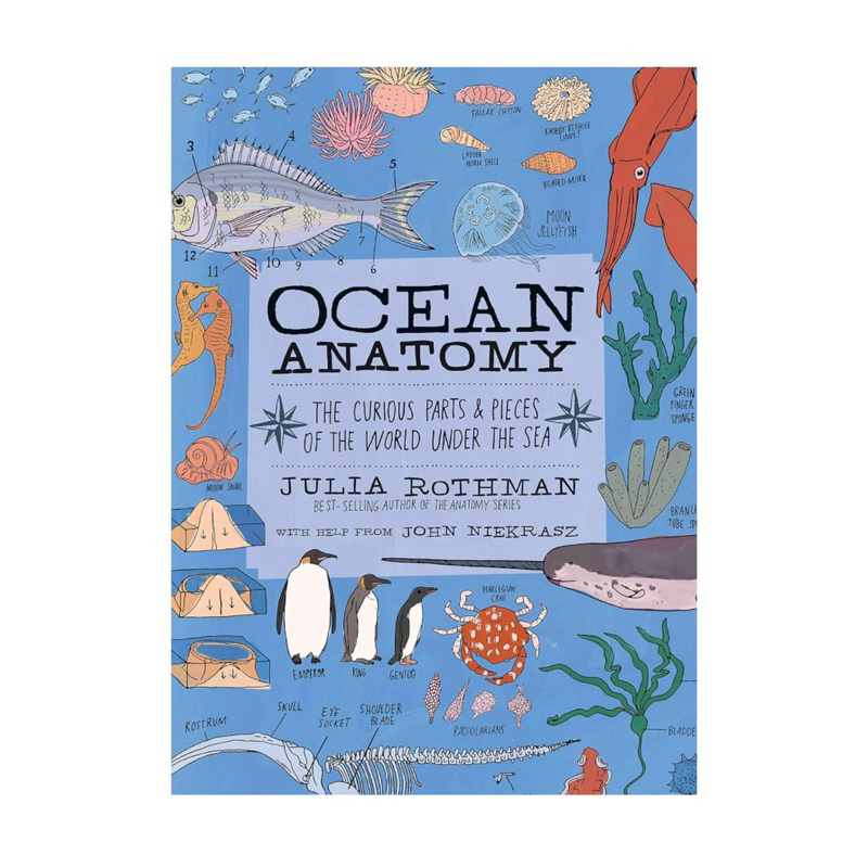 [Querida] หนังสือภาษาอังกฤษ Ocean Anatomy: The Curious Parts and Pieces of the World under the Sea by Julia Rothman