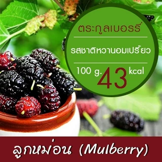 มัลเบอรี่ ลูกหม่อน อบแห้ง 100% ตรา ภูดอย สูตรไม่มีน้ำตาล ไม่ใส่สารกันเสีย ไม่แต่งสี เคี้ยวหนึบหนับ นุ่มลิ้น ไขมันต่ำ
