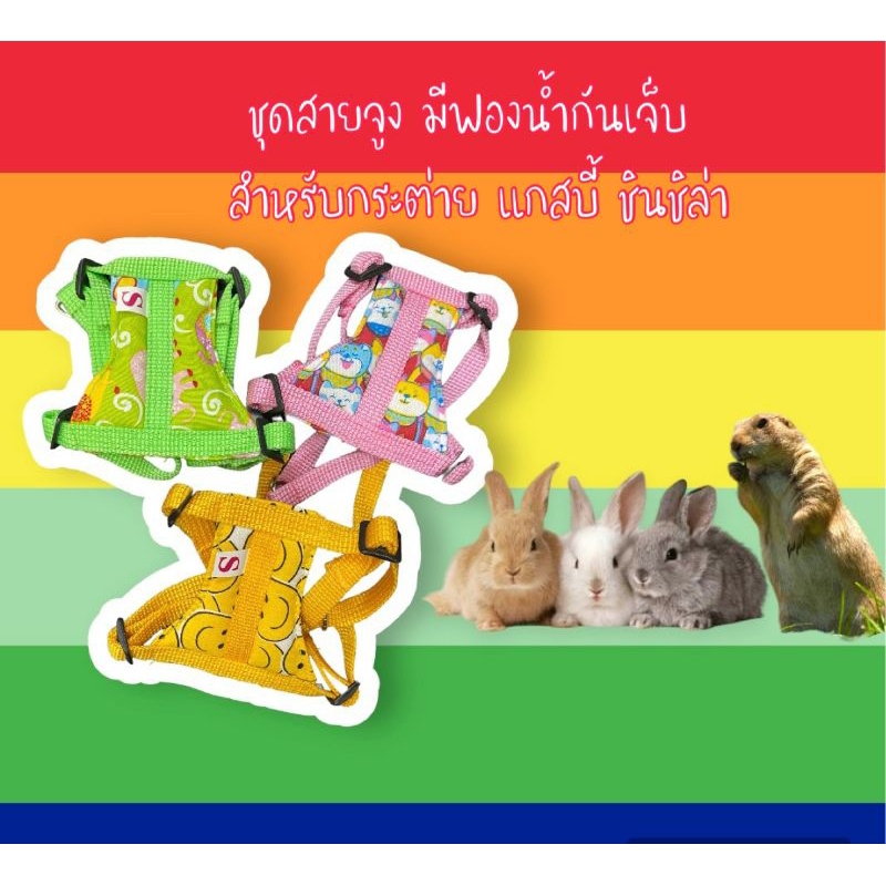 สายจูงสำหรับสัตว์เลี้ยงขนาดเล็ก ชูการ์ไรเดอร์ กระรอก (จัดส่งคละสีคละลาย ขนาดรูปถัดไป👉) ราคาถูก Shopee Lazada