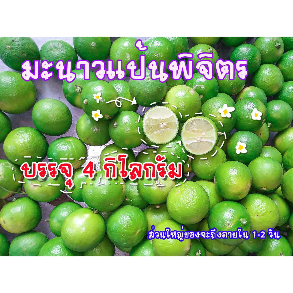 มะนาวสด พันธุ์แป้นพิจิตร( 1กล่องมี 4 กิโลกรัม )ประมาณ 65 ลูก ชั่งเกินแถมให้ทุกกล่อง
