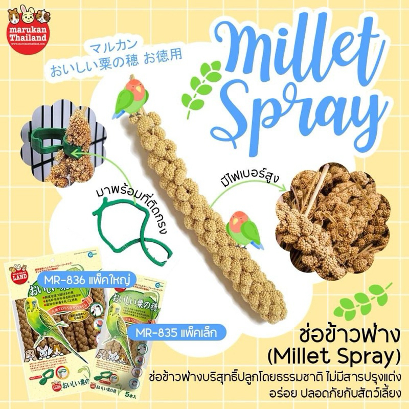 Marukan มารุคัง ข้าวฟ่าง Millet Spray แพคสุดคุ้ม 15ช่อ นำเข้าจากญี่ปุ่น MR836