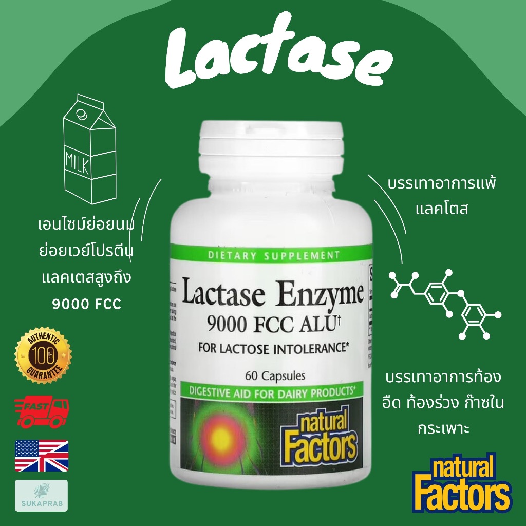 พร้อมส่ง Natural Factors Lactase Enzyme 9,000 FCC ALU 60 Capsules เอนไซม์ย่อยนม ย่อยเวย์โปรตีน