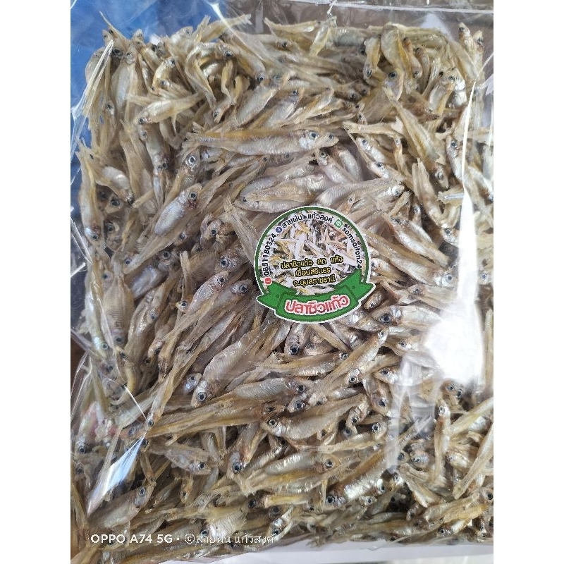 ปลาซิวแก้วแห้งเขื่อนสิรินธร