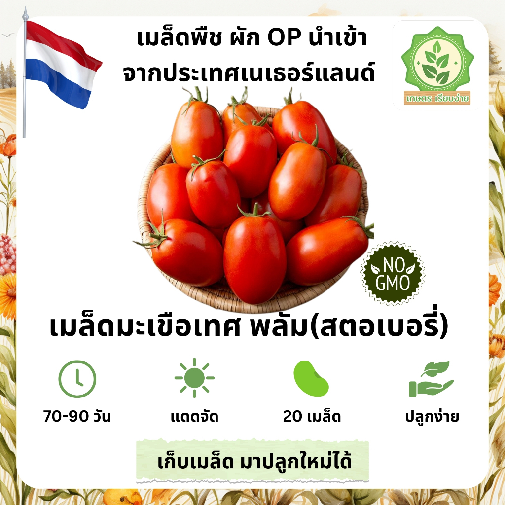 เมล็ดพันธุ์รวมผักต่างๆ มะเขือเทศ พลัม(สตอเบอรี่) เมล็ดนอกนำเข้าต่างๆ พันธุ์ OP บรรจุ 20 เมล็ด
