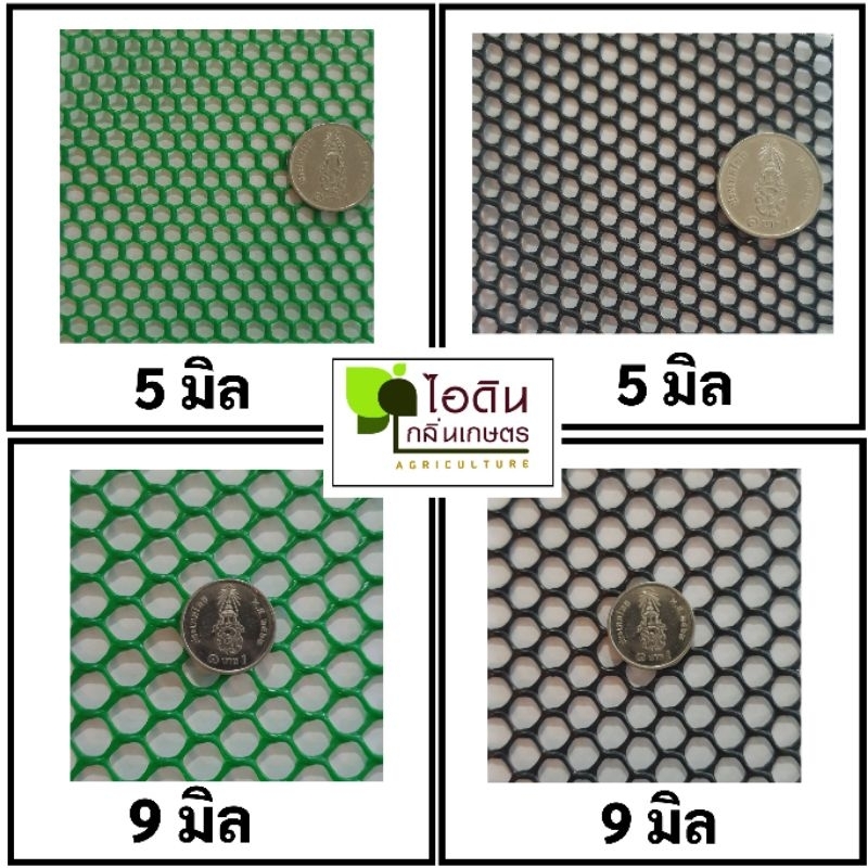 รูปภาพ 6