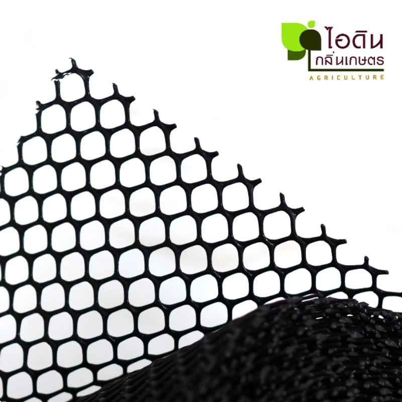 รูปภาพ 2