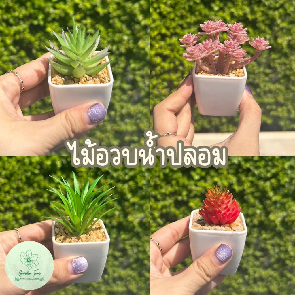 ไม้อวบน้ำปลอมในกระถางพลาสติกสีขาวเหลี่ยม Fake Cactus แคตตัสจิ๋ว ไม้อวบน้ำเล็ก ของแต่งบ้าน จัดบ้าน ของขวัญ