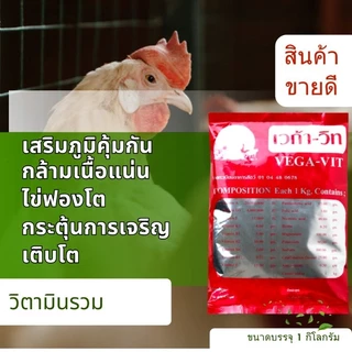เวก้าวิท vega vit ขนาด 1kg