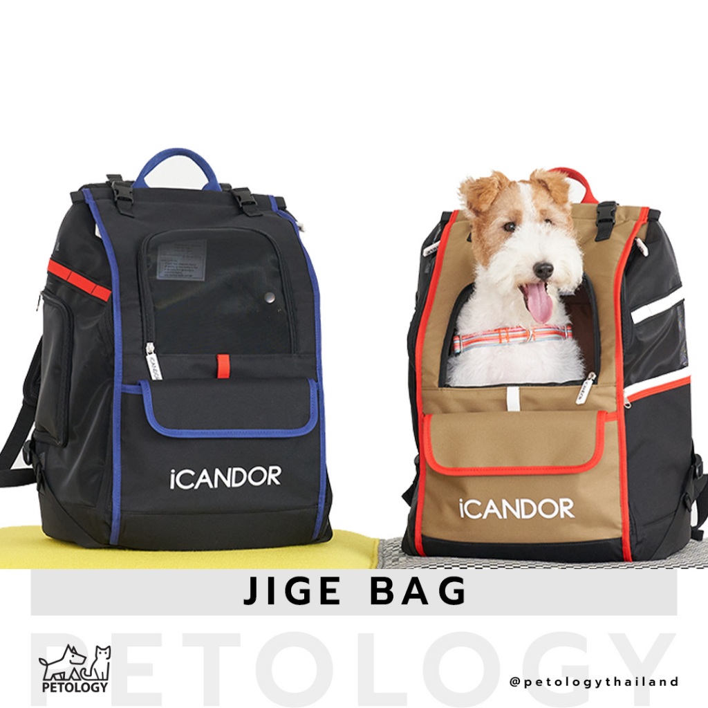 Petology - iCandor รุ่น JIGE