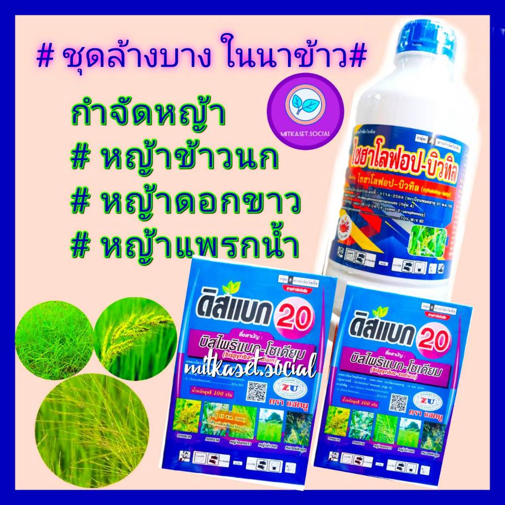 ชุด เก็บหญ้าในนาข้าว ยาฆ่าหญ้าในนาข้าว ไซฮาโลฟอบ1 ลิตร+ บิสไพรีแบค 100 กรัม 2กล่อง ไม่แดง หญ้าข้าวนก