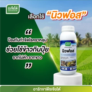 นิวฟอส กรดฟอสโฟนิก ขนาด1 ลิตร ยาเชื้อราป้องกันโรคผลเน่า