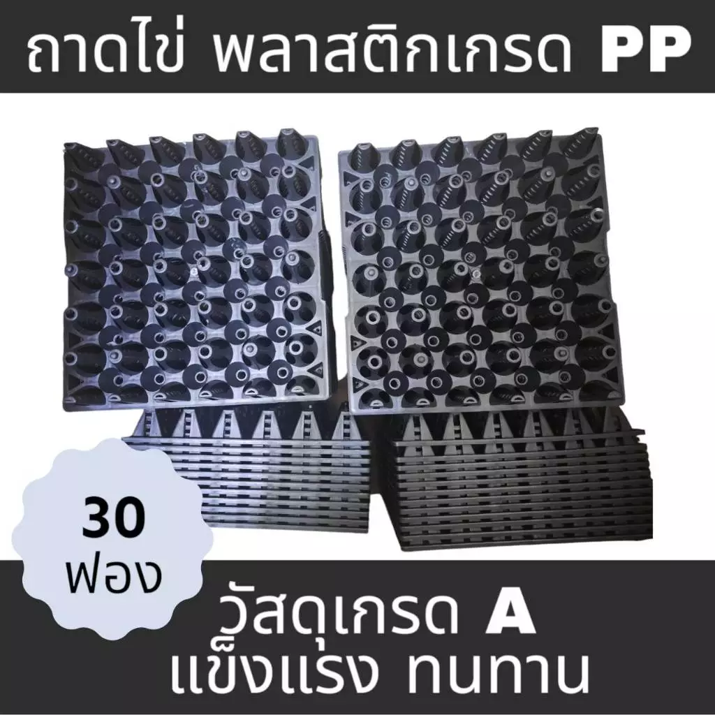 ถาดไข่ไก่ ไข่เป็ด เบอร์ใหญ่ 0-3 บรรจุไข่ได้ 30 ฟอง[สินค้ามือ1]