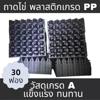 ถาดไข่ไก่ ไข่เป็ด เบอร์ใหญ่ 0-3 บรรจุไข่ได้ 30 ฟอง[สินค้ามือ1]