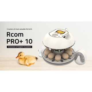 Rcom Pro+10 inbubator