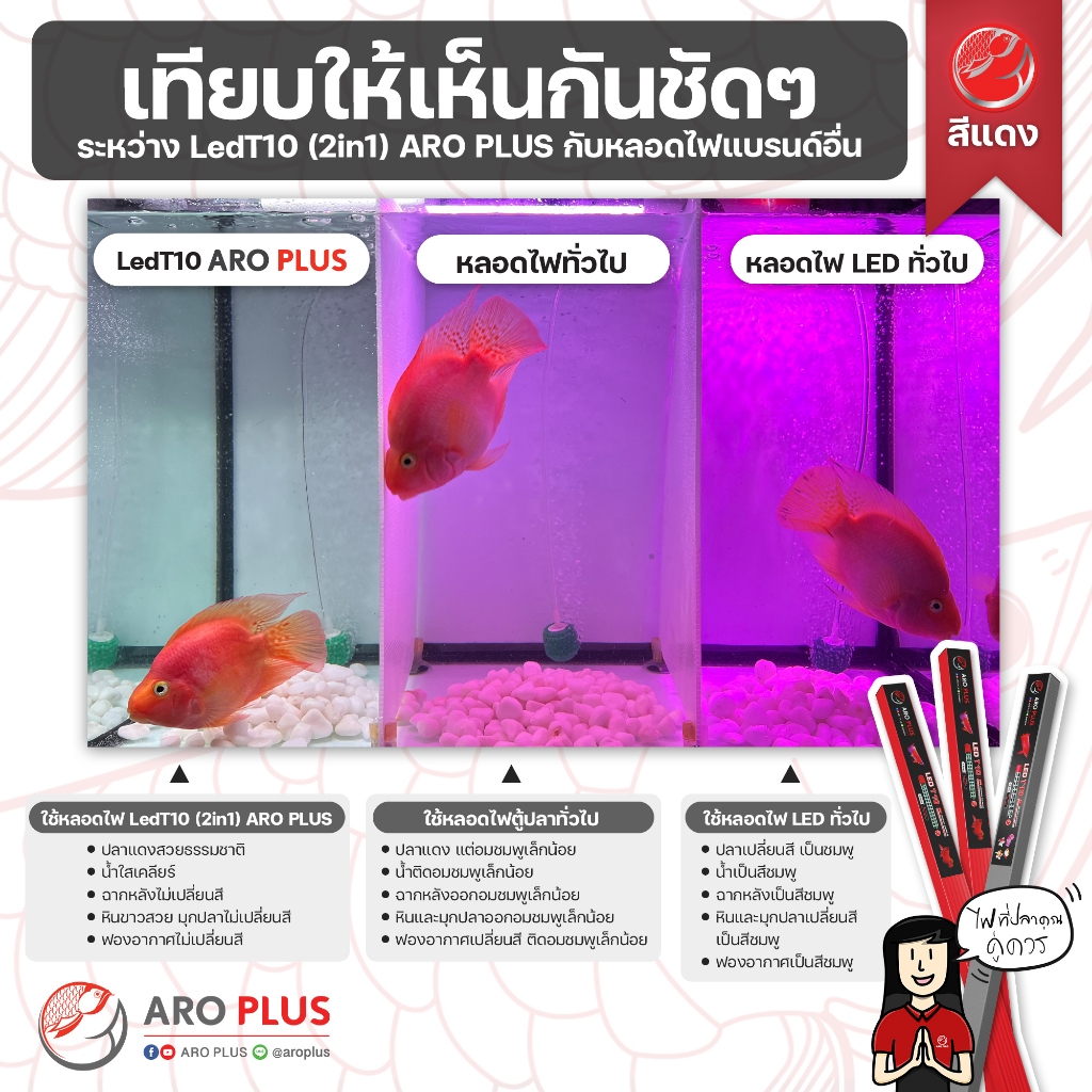 หลอดไฟ LED T10 Plus 2in1 แบบ 2 แถว  สีแดง